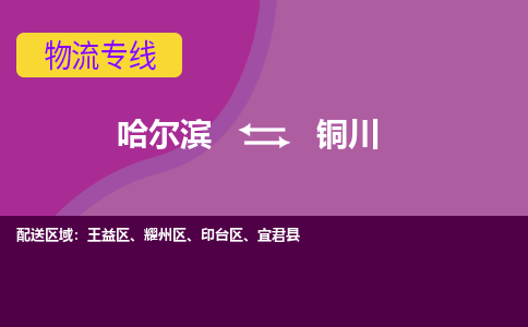 哈尔滨到铜川物流公司企业提供一站式货运解决方案