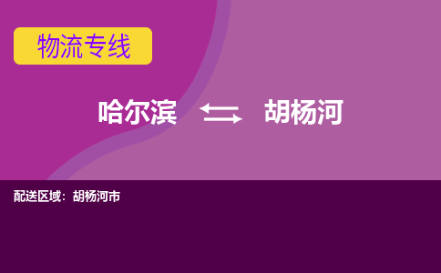 哈尔滨到胡杨河物流公司企业提供一站式货运解决方案