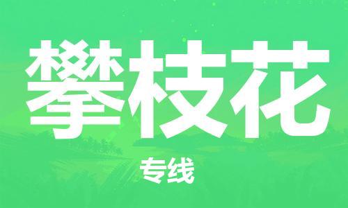 石家庄到攀枝花物流公司专线快运-省市县+乡镇+闪+送